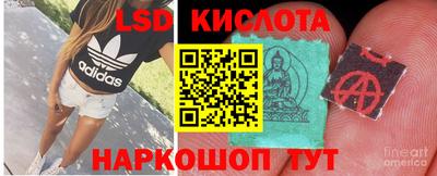 прущие грибы Апрелевка