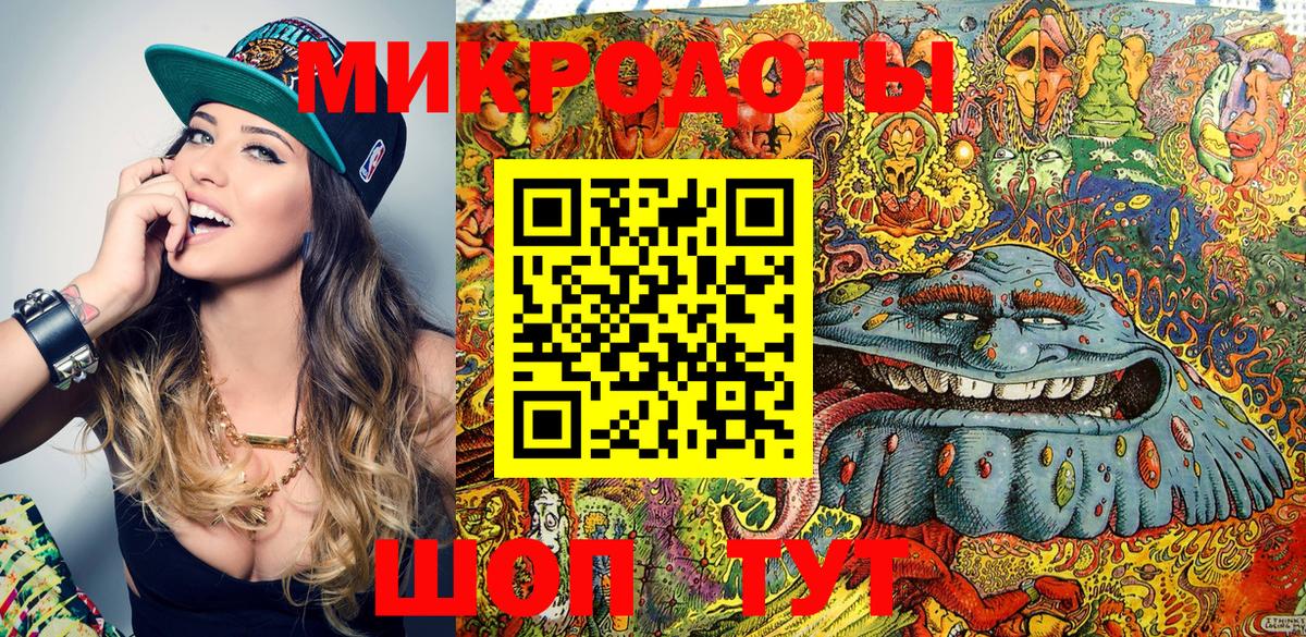 Псилоцибиновые грибы Cubensis Белгород
