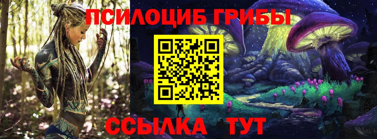 даркнет сайт  Галлюциногенные грибы MAGIC MUSHROOMS  Вход с VPN  Белгород 