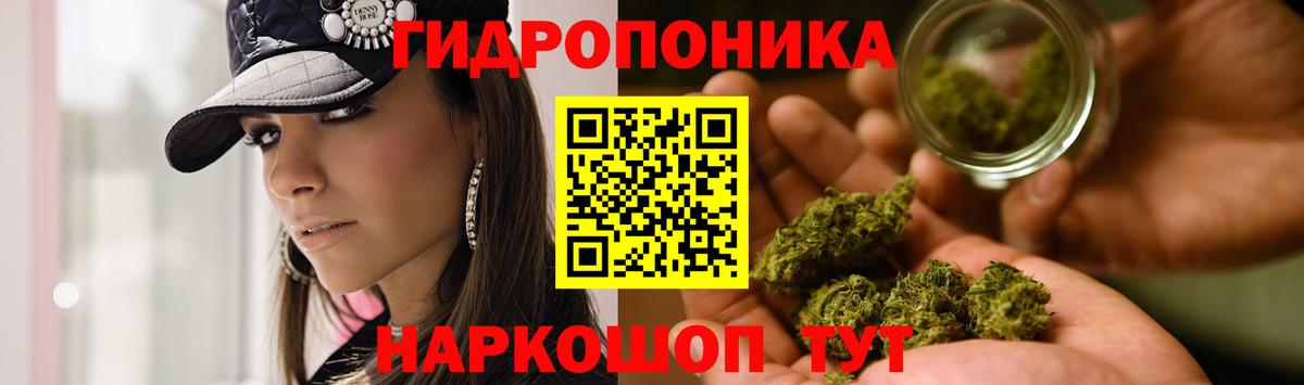 Конопля Bruce Banner Белгород